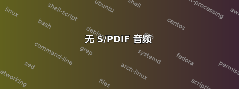 无 S/PDIF 音频