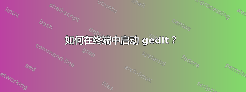 如何在终端中启动 gedit？