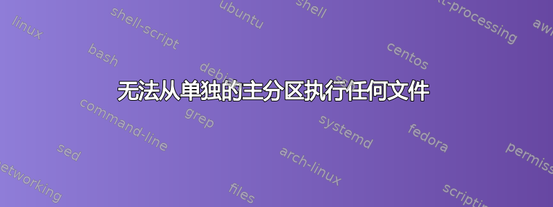 无法从单独的主分区执行任何文件