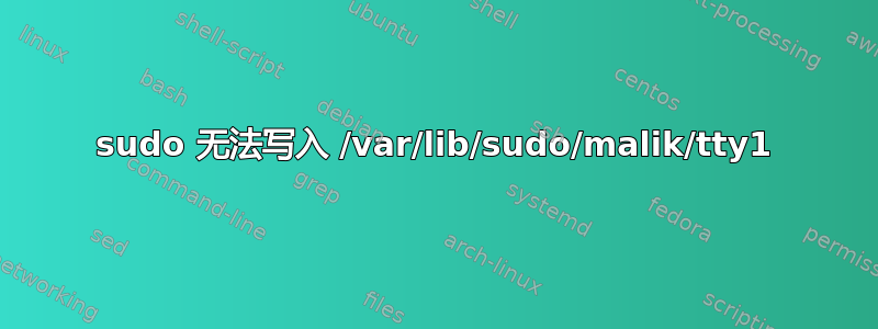 sudo 无法写入 /var/lib/sudo/malik/tty1