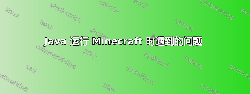 Java 运行 Minecraft 时遇到的问题