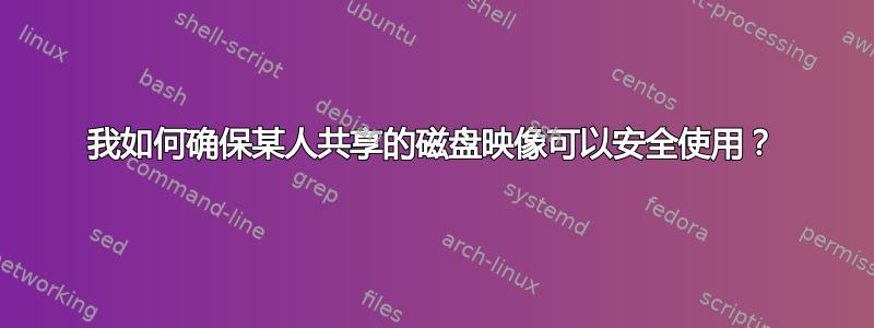 我如何确保某人共享的磁盘映像可以安全使用？