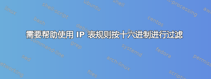 需要帮助使用 IP 表规则按十六进制进行过滤