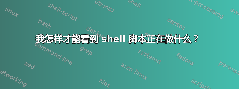 我怎样才能看到 shell 脚本正在做什么？