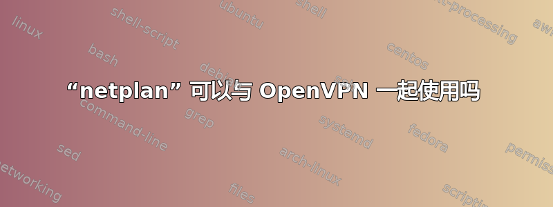 “netplan” 可以与 OpenVPN 一起使用吗