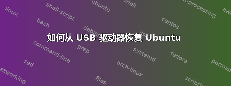 如何从 USB 驱动器恢复 Ubuntu