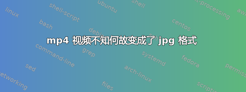 mp4 视频不知何故变成了 jpg 格式