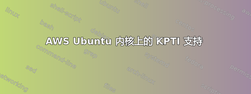 AWS Ubuntu 内核上的 KPTI 支持