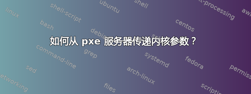 如何从 pxe 服务器传递内核参数？