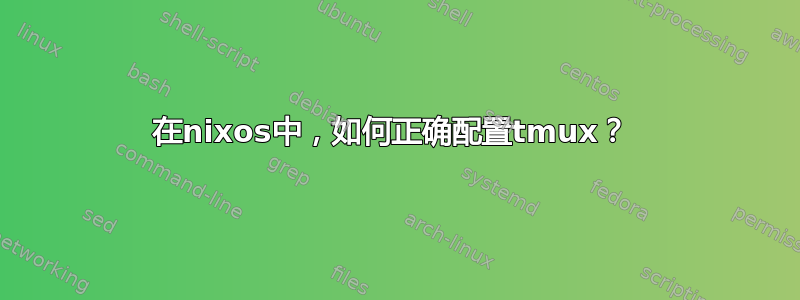 在nixos中，如何正确配置tmux？ 