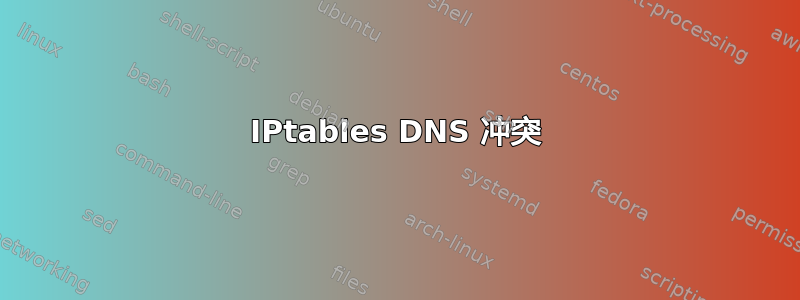 IPtables DNS 冲突