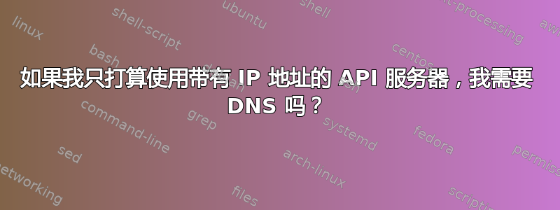 如果我只打算使用带有 IP 地址的 API 服务器，我需要 DNS 吗？