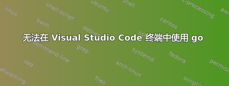 无法在 Visual Studio Code 终端中使用 go