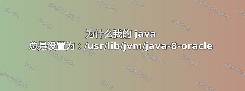 为什么我的 java 总是设置为：/usr/lib/jvm/java-8-oracle