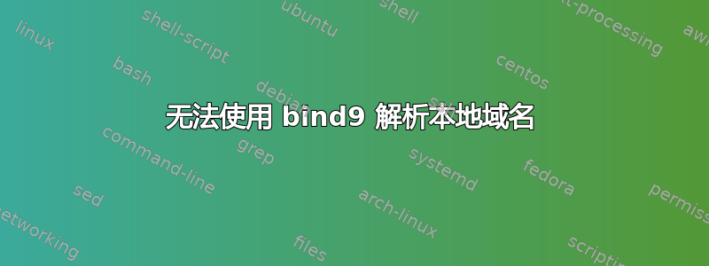 无法使用 bind9 解析本地域名