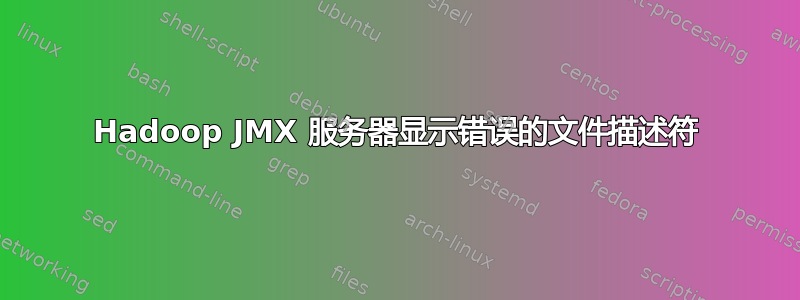 Hadoop JMX 服务器显示错误的文件描述符