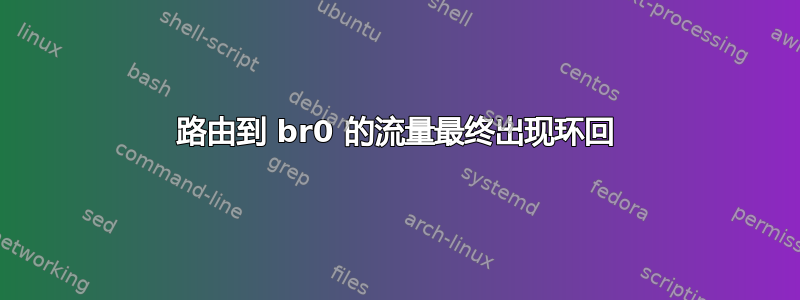 路由到 br0 的流量最终出现环回