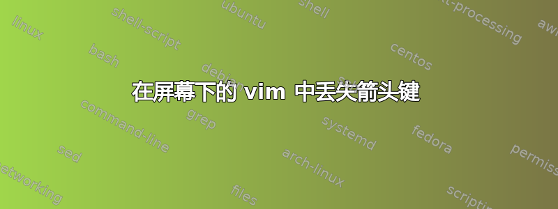 在屏幕下的 vim 中丢失箭头键