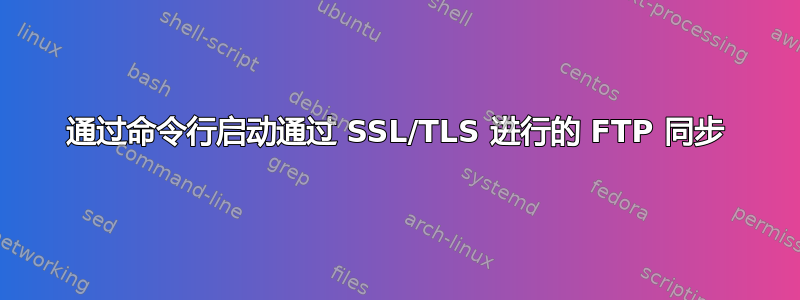 通过命令行启动通过 SSL/TLS 进行的 FTP 同步