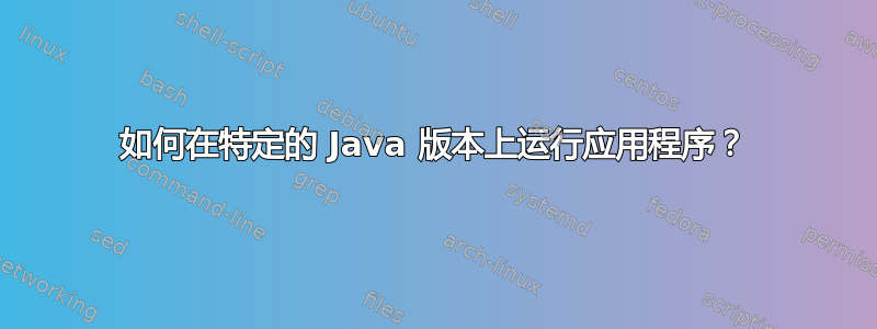 如何在特定的 Java 版本上运行应用程序？