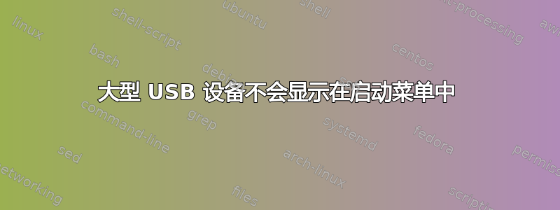 大型 USB 设备不会显示在启动菜单中