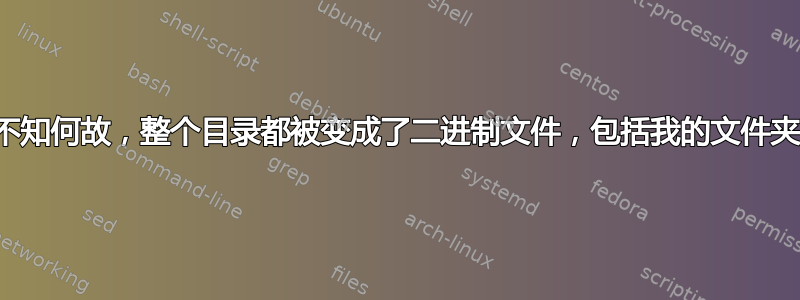 不知何故，整个目录都被变成了二进制文件，包括我的文件夹