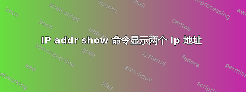 IP addr show 命令显示两个 ip 地址