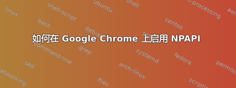 如何在 Google Chrome 上启用 NPAPI