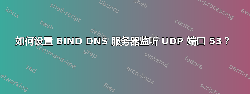 如何设置 BIND DNS 服务器监听 UDP 端口 53？