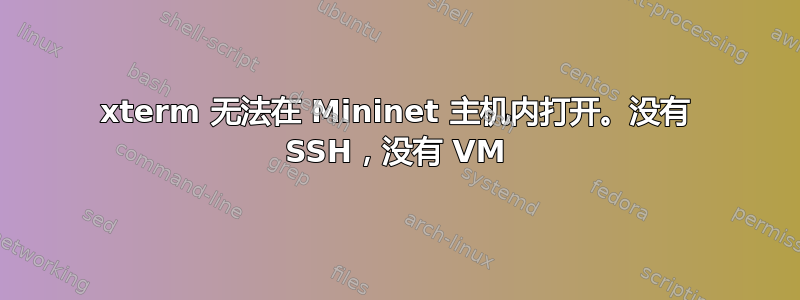 xterm 无法在 Mininet 主机内打开。没有 SSH，没有 VM