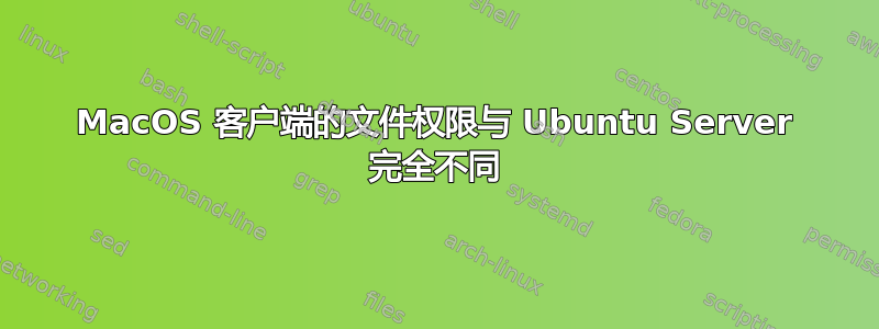 MacOS 客户端的文件权限与 Ubuntu Server 完全不同