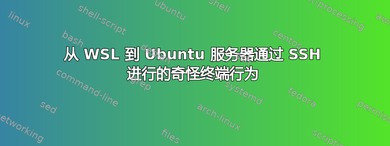 从 WSL 到 Ubuntu 服务器通过 SSH 进行的奇怪终端行为