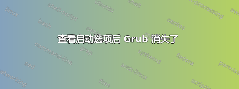 查看启动选项后 Grub 消失了