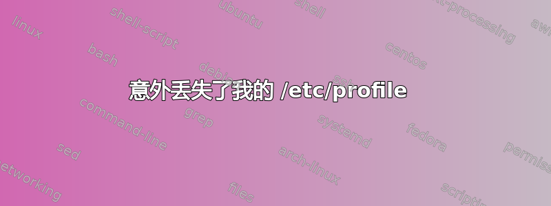 意外丢失了我的 /etc/profile 