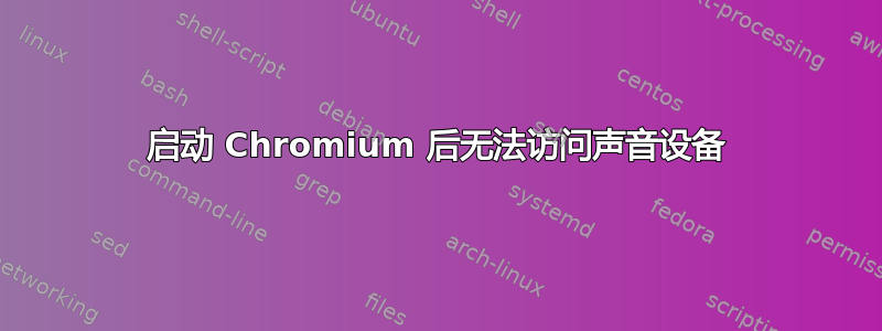 启动 Chromium 后无法访问声音设备