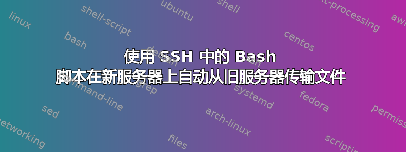 使用 SSH 中的 Bash 脚本在新服务器上自动从旧服务器传输文件