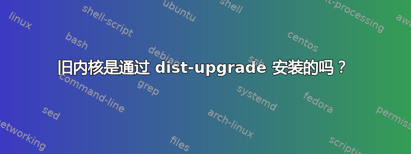 旧内核是通过 dist-upgrade 安装的吗？