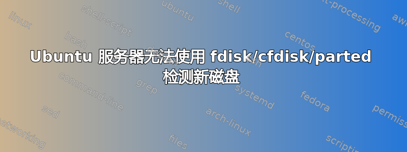 Ubuntu 服务器无法使用 fdisk/cfdisk/parted 检测新磁盘