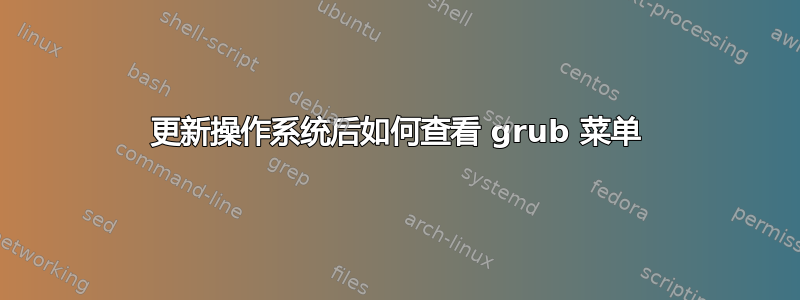 更新操作系统后如何查看 grub 菜单