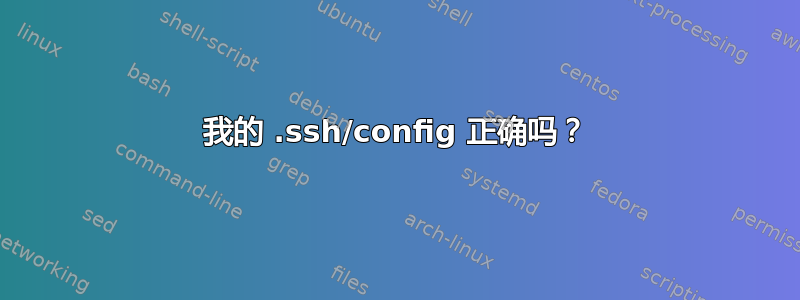 我的 .ssh/config 正确吗？