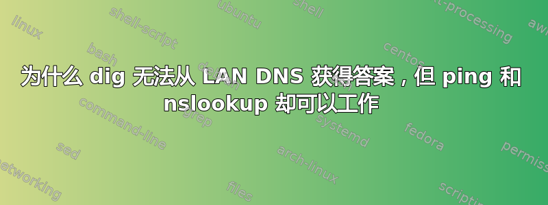 为什么 dig 无法从 LAN DNS 获得答案，但 ping 和 nslookup 却可以工作