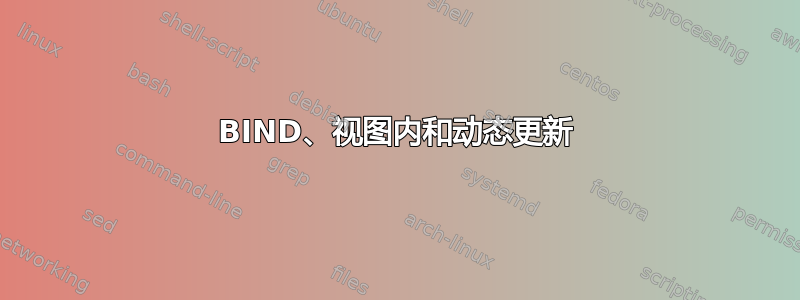 BIND、视图内和动态更新