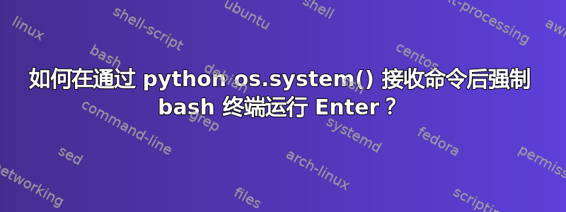 如何在通过 python os.system() 接收命令后强制 bash 终端运行 Enter？