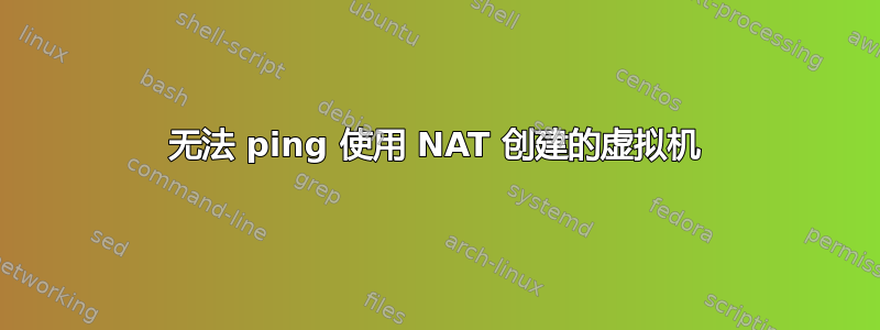 无法 ping 使用 NAT 创建的虚拟机