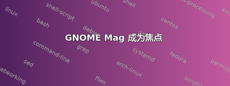 GNOME Mag 成为焦点