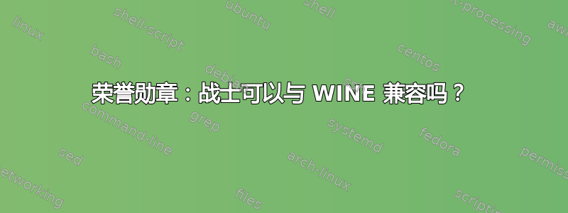 荣誉勋章：战士可以与 WINE 兼容吗？