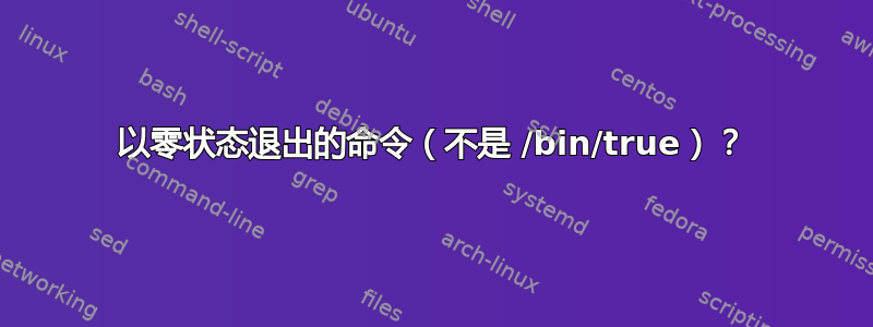 以零状态退出的命令（不是 /bin/true）？