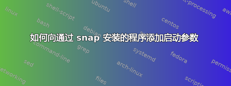 如何向通过 snap 安装的程序添加启动参数