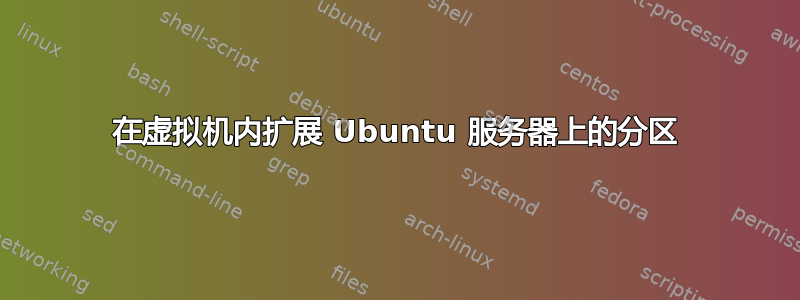 在虚拟机内扩展 Ubuntu 服务器上的分区