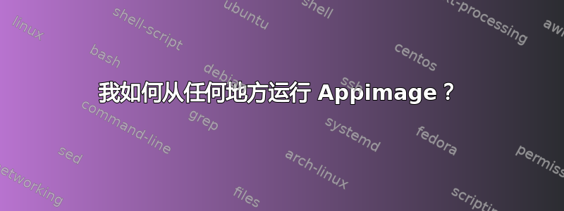 我如何从任何地方运行 Appimage？